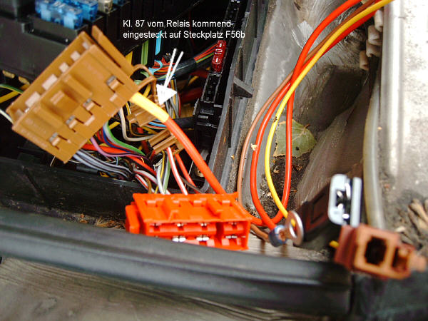 Einpinnen – rote Leitung (F-Stecker)